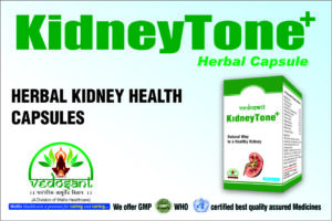 KIDNEY TONE +Herbal Capsule