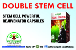 DOUBLE STEM CELL